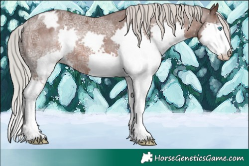 Horse Color:Silver Black Ice Splash Blanket Rabicano 