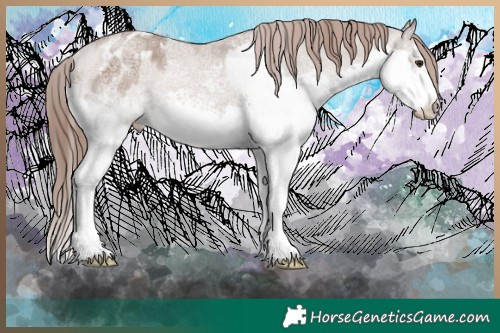 Horse Color:White Spotted Classic Champagne Ice Splash Appaloosa Rabicano 