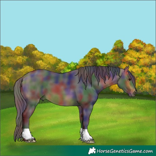 Horse Color:Nacre Buckskin 