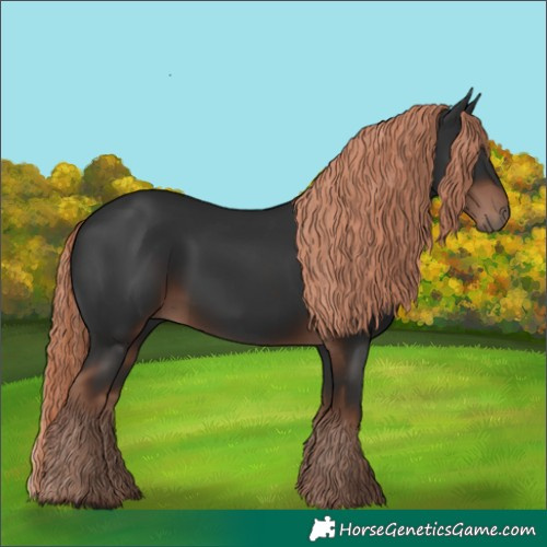 Horse Color:Liver Chestnut Rabicano 