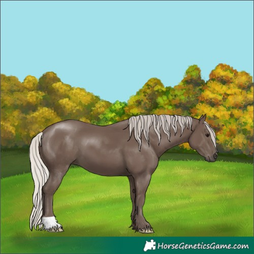 Horse Color:Silver Black 