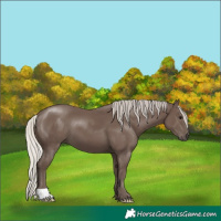 Horse Color:Silver Black 