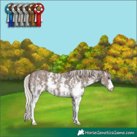 Horse Color:Silver Black Sabino 