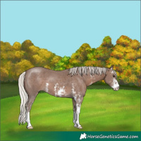 Horse Color:Silver Black Sabino 