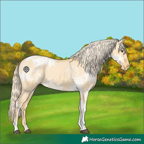 Horse Color:White Spotted Palomino Ice Dun Tobiano Varnish 
