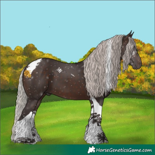 Horse Color:Silver Brown Tobiano 