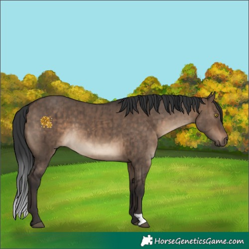 Horse Color:Brown Dun Brindle 