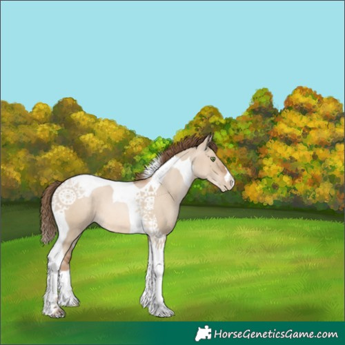 Horse Color:Liver Red Dun Pearl Tobiano 
