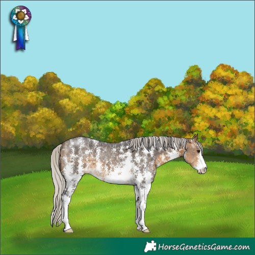 Horse Color:Silver Buckskin Sabino 