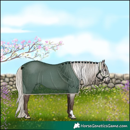 Horse Color:Gray Silver Black 