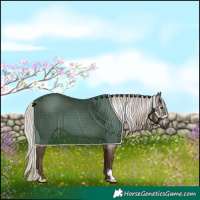 Horse Color:Gray Silver Black 