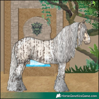 Horse Color:Silver Black and Silver Amber Cream Champagne Roan Dun Splash Tobiano Frame Appaloosa Rabicano