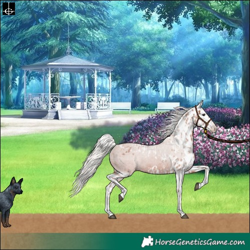 Horse Color:Silver Brown Sabino Splash Skewed LP Spotted  and Silver Brown Sabino Splash Skewed LP Spotted 