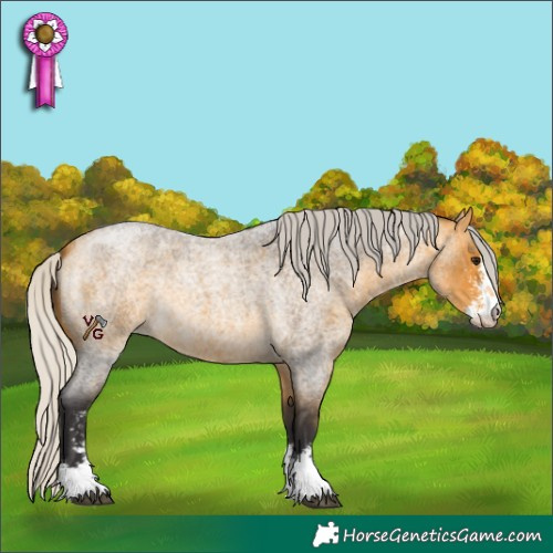 Horse Color:Silver Buckskin Roan Sabino 