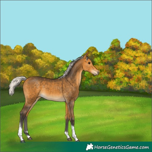 Horse Color:Silver Buckskin Tobiano 