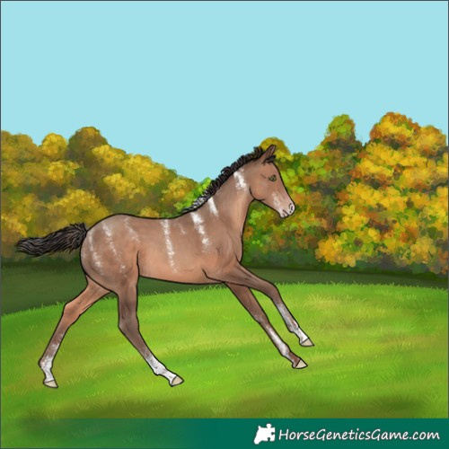 Horse Color:Powder White Sable Champagne 