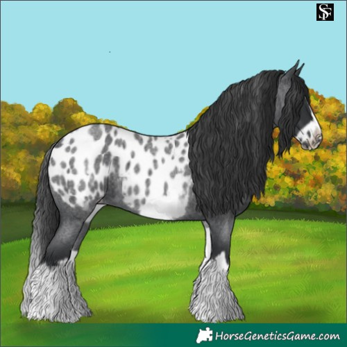 Horse Color:White Spotted Blue Roan Splash Frame Near Leopard 