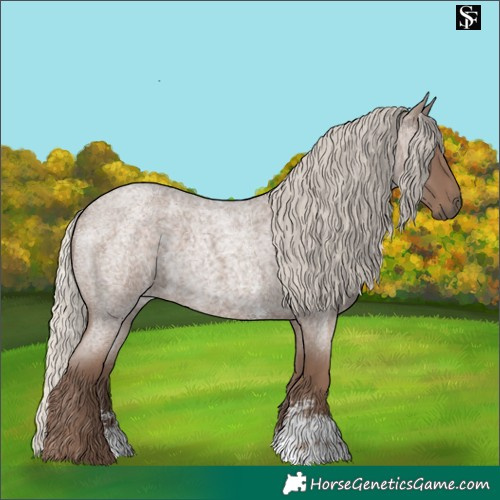 Horse Color:Silver Blue Roan Sabino 