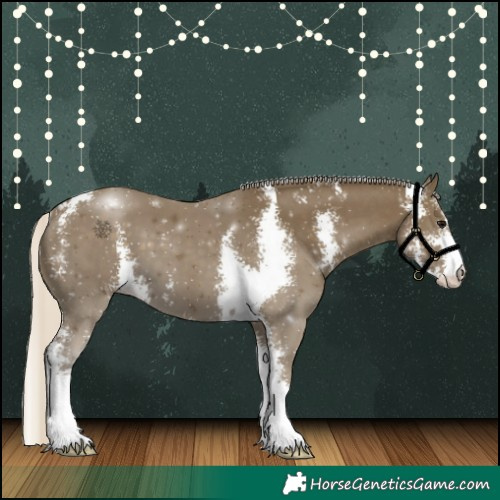Horse Color:Silver Smoky Black Sabino 