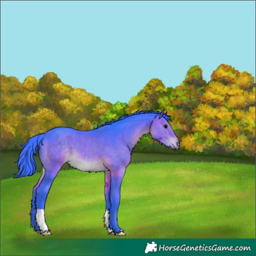 Horse Color:Watercolor Brown 
