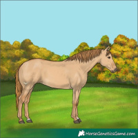 Horse Color:Red Dun 