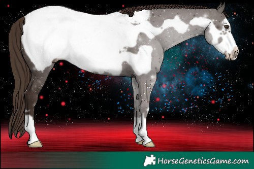 Horse Color:Liver Chestnut Frame Snowcap 