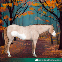 Horse Color:Gold Champagne Roan Frame Rabicano