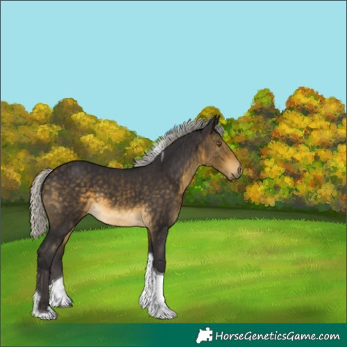 Horse Color:Silver Buckskin Tobiano 