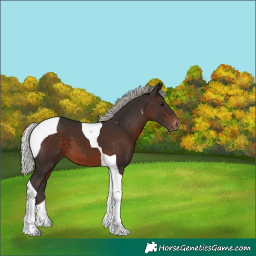 Horse Color:Silver Brown Tobiano Varnish 