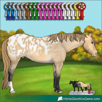 Horse Color:Buckskin Dun Blanket