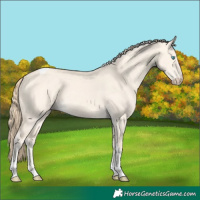 Horse Color:Perlino Dun Tobiano
