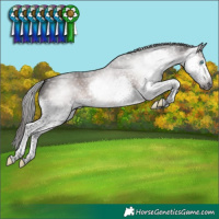 Horse Color:Gray Liver Chestnut Sabino Splash 