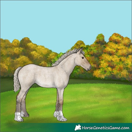 Horse Color:Silver Smoky Grullo Roan 