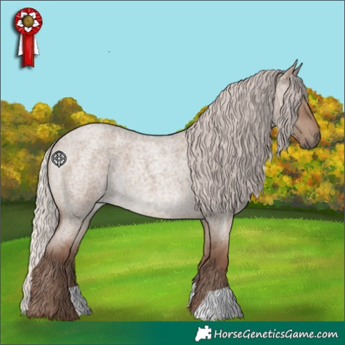 Horse Color:Silver Grullo Roan 