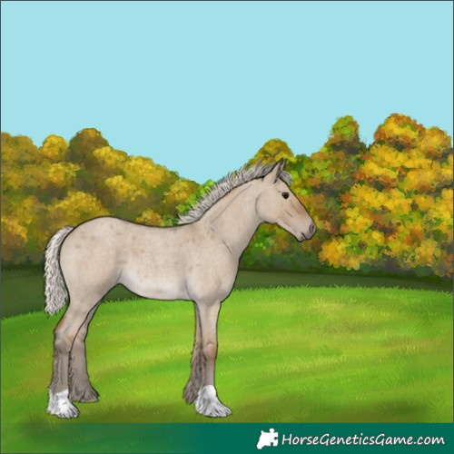 Horse Color:Silver Smoky Grullo Roan 