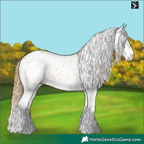 Horse Color:Red Dun Leopard  and Red Dun Leopard Rabicano 