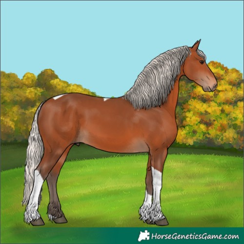 Horse Color:Silver Brown Tobiano 