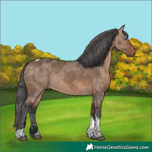 Horse Color:Brown Dun Merle Tobiano 