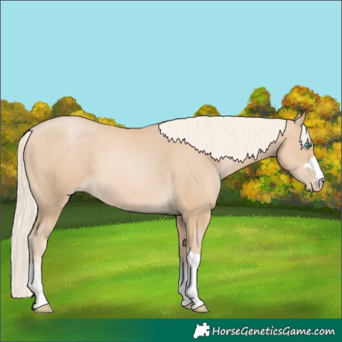 Horse Color:Palomino Pearl