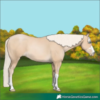 Horse Color:Palomino Pearl