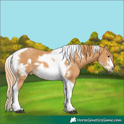 Horse Color:Chestnut Tobiano Frame 