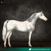Horse Color:Palomino Near Leopard and Cremello Near Leopard
