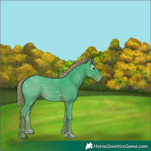 Horse Color:Gray Watercolor Liver Chestnut 