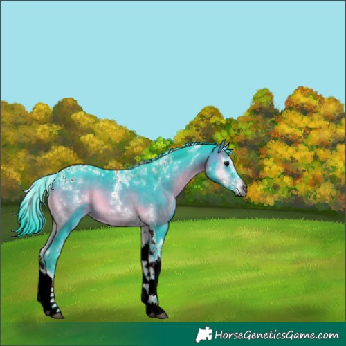 Horse Color:Gray Watercolor Brown Onyx Tobiano 