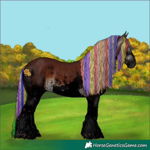 Horse Color:Gray Void Painted Chocolate Silver Bay Sabino Splash 