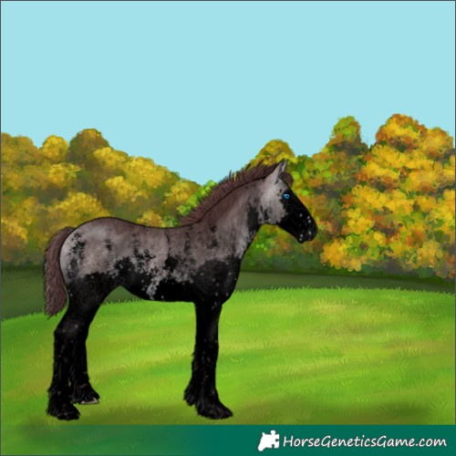 Horse Color:Void Platinum Chocolate Buckskin Sabino Splash 