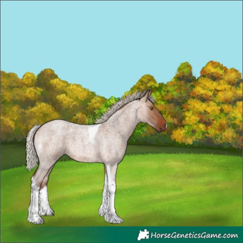 Horse Color:Silver Bay Roan Dun Tobiano 