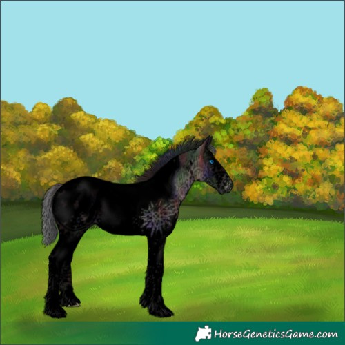 Horse Color:Void Platinum Nacre Brown Sabino Splash Tobiano Appaloosa 