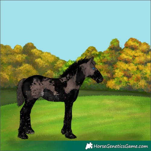 Horse Color:Void Platinum Liver Chestnut Splash Tobiano 