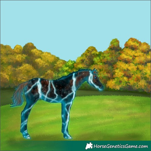 Horse Color:Void Thunderstruck Liver Chestnut Ice Sabino Splash Tobiano 